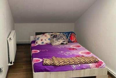 Apartament cu 3 camere decomandat în Exterior Vest - 3