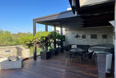 Penthouse cu 6 camere, mobilat în Herăstrău - 21