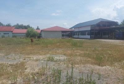 Spațiu comercial, de 6,500 mp, în Victoria - 1