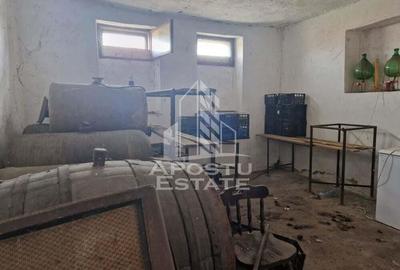 Casa individuala cu 3 camere ,teren 4222 mp in exclusivitate Dorobanti - 14