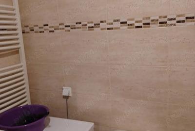 Apartament cu 2 camere decomandat în Virtuții - 10