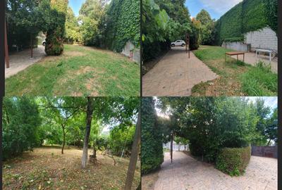 Casa cu teren foarte generos str. Matasarilor colt cu Aleea Ghirodei - 8