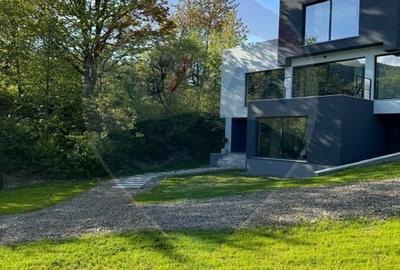 Proprietate specială, de 280 mp, în Almaș - 59