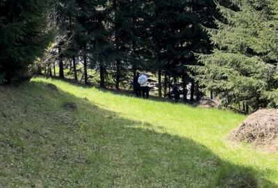 Spațiu comercial, în Central - 7