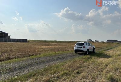 Teren Construcții intravilan de 700 mp, în Sânandrei - 5