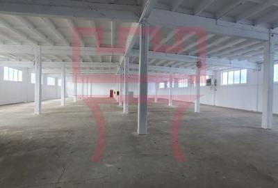 Spațiu industrial, 210 mp în Someșeni - 10