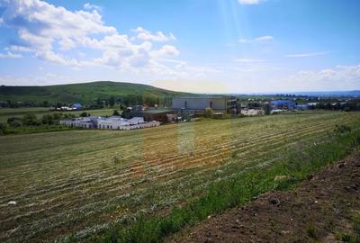 Teren Construcții intravilan de 650 mp, în Calea Romanului