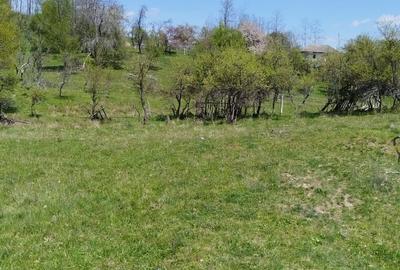 Teren de 7795 mp, în Golești - 13