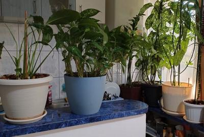 Apartament cu 3 camere semidecomandat în Central - 3