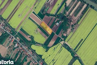 Teren de 10000 mp, în Ștefan cel Mare