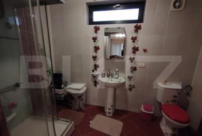 Vila Craiova P+1+M, 317 mp utili ?i curte de 980 mp - 17