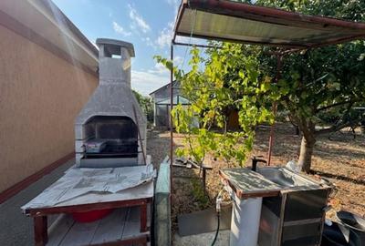 Valu Traian , casa cu teren si livada - 8