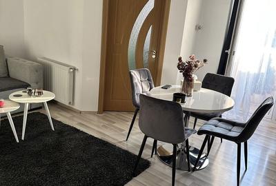 Apartament cu 2 camere decomandat în Turnișor - 4