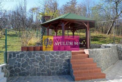 Vila de vanzare in Poiana Campina Vila de vanzare in Poiana Campina - 4