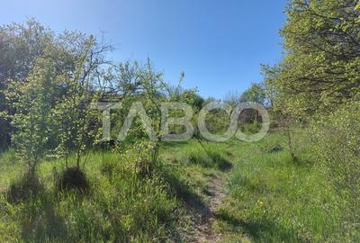 Teren 3445 mp pentru persoanele care doresc casa  cu teren generos - 5