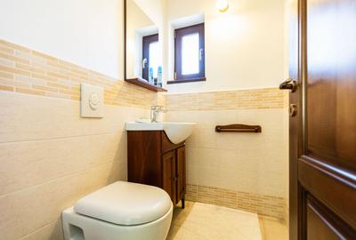 Refugiul Perfect de Lângă Timișoara - 56