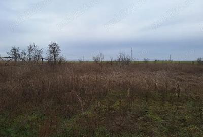 Casa de vanzare + teren - construc?ie noua neterminata Casa de vanzare + teren - construc?ie noua neterminata - 6