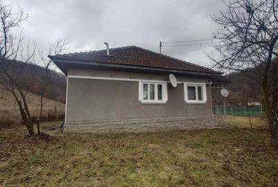 Casă cu 3 camere cu Teren 12861 Mp în Luncoiu de Jos - 8