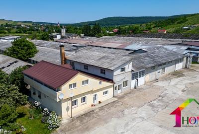 Teren 100.000 mp + Spatii Industriale Bacau - 4