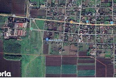 Casă cu 3 camere cu Teren 3803 Mp în Cobadin - 8