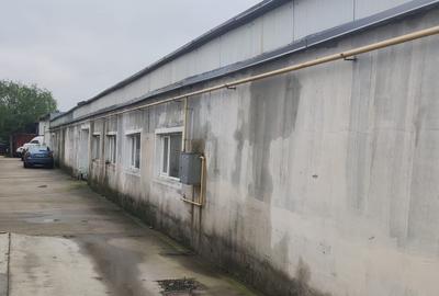 Spațiu industrial, de 250 mp, în Exterior Est - 3