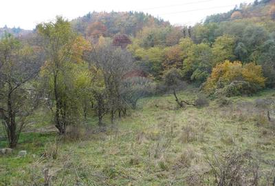 Teren 35,232mp Sighetu Marmatiei / Strada Valea Cufundoasa - 5