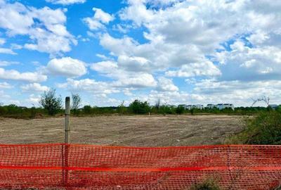Teren Construcții intravilan de 5000 mp, în Băneasa - 5