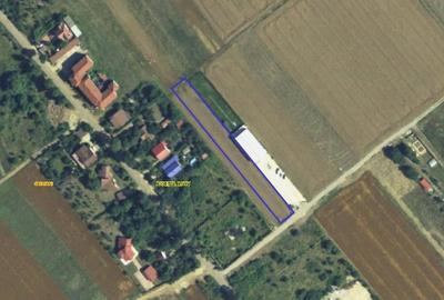 Teren Construcții intravilan de 2500 mp, în Ciolpani