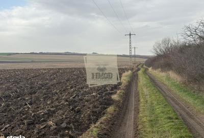 Spațiu comercial, în Central - 3