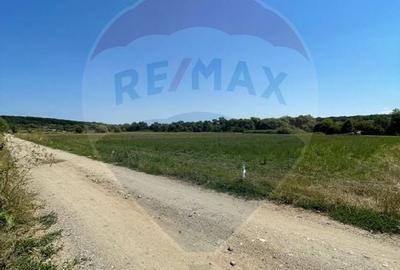TEREN  INTRAVILAN 5,000mp ORAS CISNADIE  STR.  SELIMBARULUI - 11