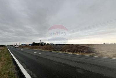 Teren agricol extravilan de 27882 mp, în Exterior Est - 3