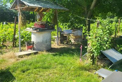 Casă cu 3 camere în Albina - 7