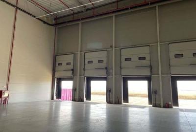 Spatiu de depozitare si productie centru logistic Chitila-Buftea - 3