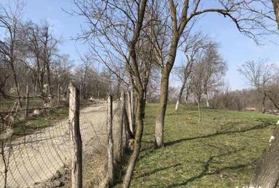 Teren de 1660 mp, în Teișani - 1