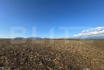 Teren de 5700 mp, în Criș - 2