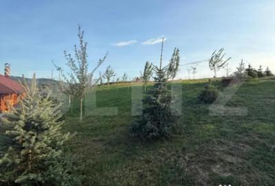 Casă cu 1 camere cu Teren 2800 Mp în Central - 18