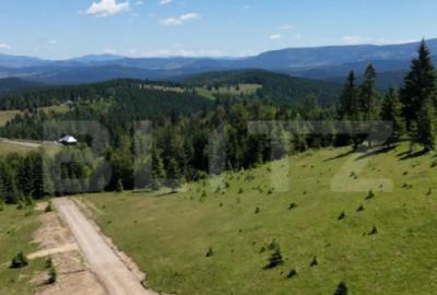 Teren de 700 mp, în Central - 4