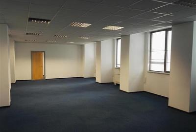 Spatii de inchiriat - River Plaza - Corp A -  554.20 mp - 3