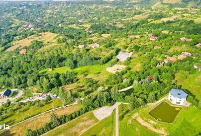 Spațiu comercial, în Sohodol - 3