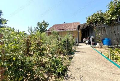 Casa cu teren - multiple destinatii -zona Parcul Salca - 13