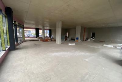 Spațiu comercial, de 320 mp, în Bună Ziua - 10