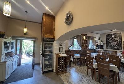 RESTAURANT GYULA | UNGARIA | PANOURI SOLARE | 245 MP |  TERASA PE LAC - 10