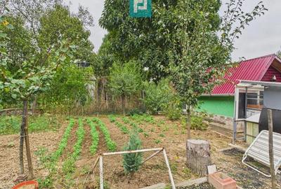 Casu?a de vacan?a pentru pescari in Lipova - 2