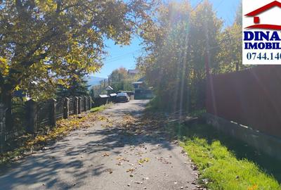 3600 mp teren intravilan, sat Bistrita, 19 Euro/mp - 4