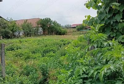 Casa ?i gradina 2100 mp - 5