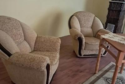 Casă cu 5 camere cu Teren 4000 Mp în Lugoj - 2