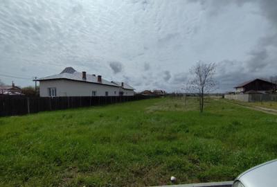TEREN DE VANZARE BRADU - 4