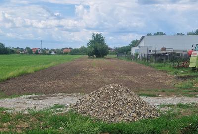 Teren de 5000 mp, în Biharia - 1