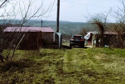 Teren de 1000 mp, în Aroneanu - 10