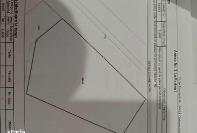 Teren de 1600 mp, în Daia - 4